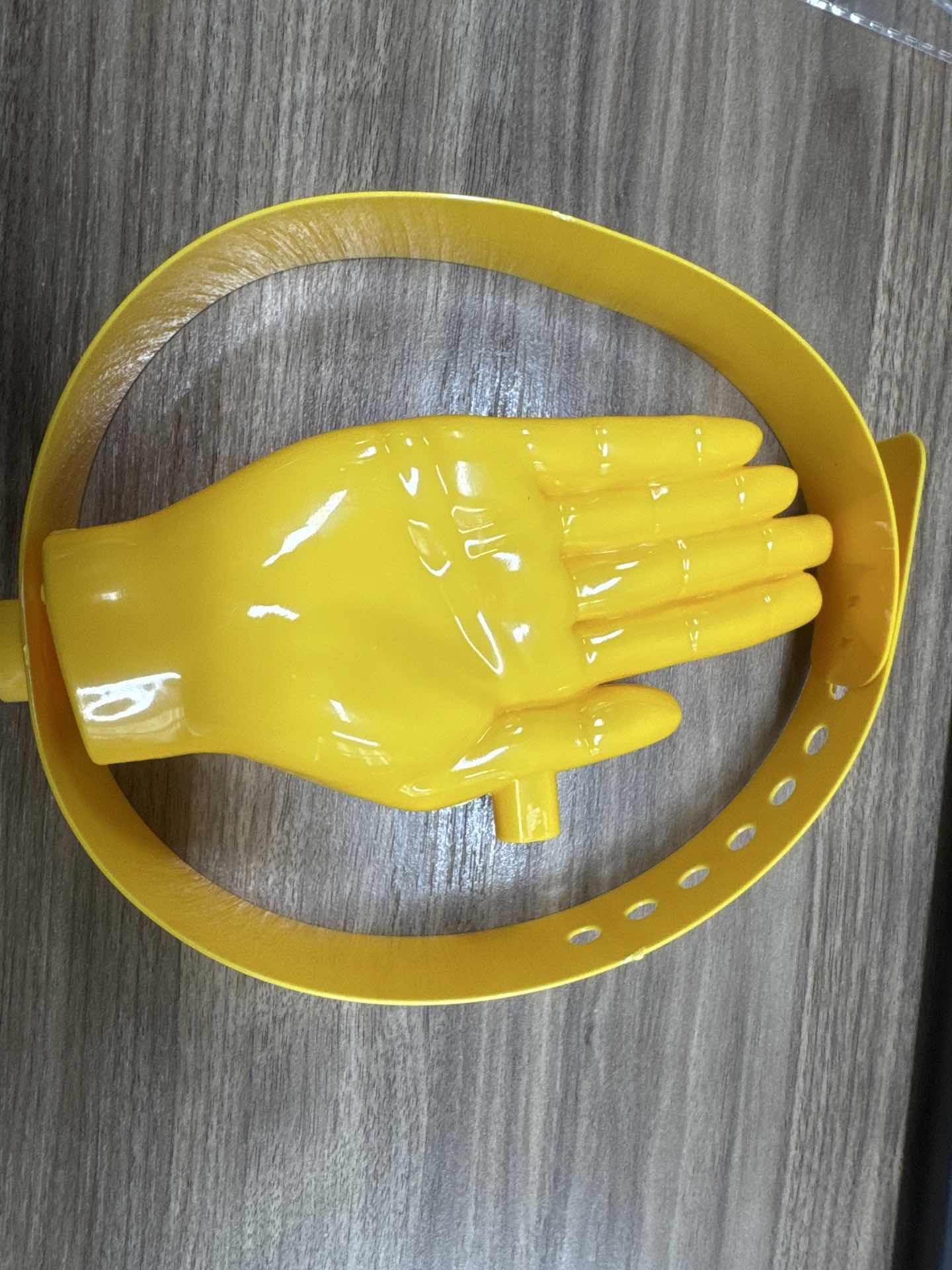 1 STKS 3D Palm Handvorm Zonnek - Travel Accessories To Gift recensie en prijs